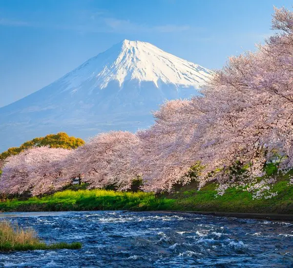mount_fuji_debt